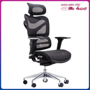 Ghế công thái học Ergonomic Solo S726A