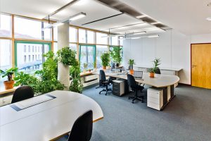 Ý tưởng thiết kế văn phòng nhỏ đẹp kiến tạo không gian chuyên nghiệp