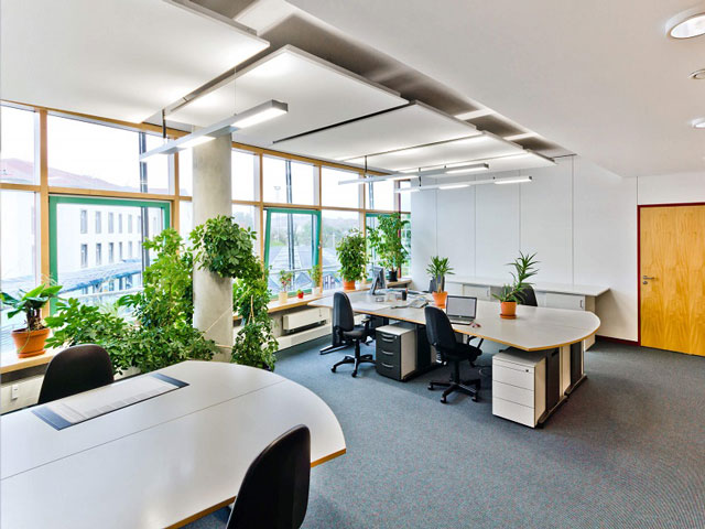Thiết kế văn phòng xanh tạo không gian làm việc mở và độc đáo
