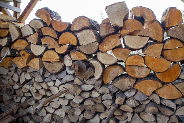 Hiện nay, có nhiều cách xử lý gỗ tươi được con người áp dụng phù hợp vào từng loại gỗ