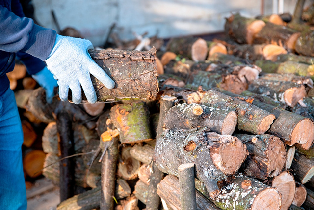 #6 cách xử lý gỗ tươi tự nhiên thông dụng nhất hiện nay