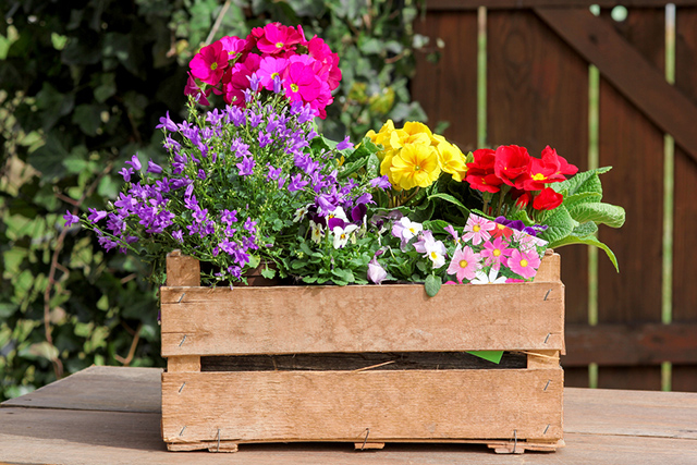 Chậu trồng hoa handmade được cấu thành từ các miếng gỗ rất xinh xắn