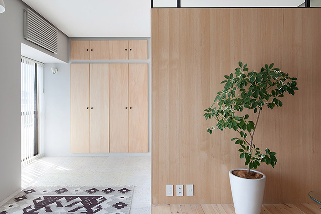 Gỗ Plywood được ứng dụng làm ốp tường giúp không gian thêm thanh thoát, thoải mái