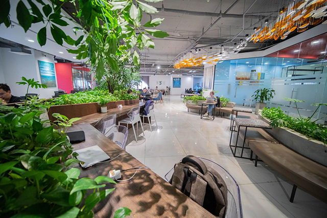 Y-nest Co-Working Space được đánh giá là văn phòng chung đẹp nhất tại Hà Nội.