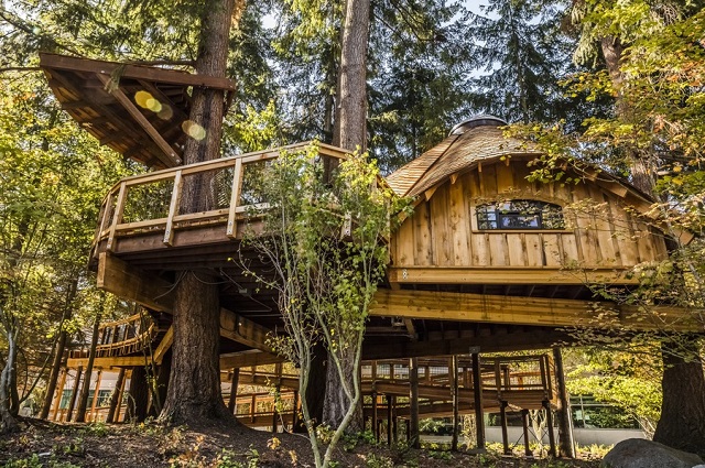 Thiết kế văn phòng độc đáo lấy cảm hứng từ những ngôi nhà trên cây