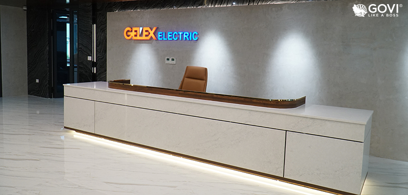 Công ty cổ phần Thiết bị điện GELEX do Tổng công ty Cổ phần Thiết bị điện Việt Nam sở hữu