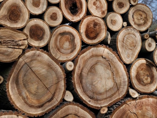 Gỗ có những nét đặc trưng về màu sắc, vân gỗ, tom gỗ mà không bị nhầm lẫn với bất kỳ loại gỗ nào khác.