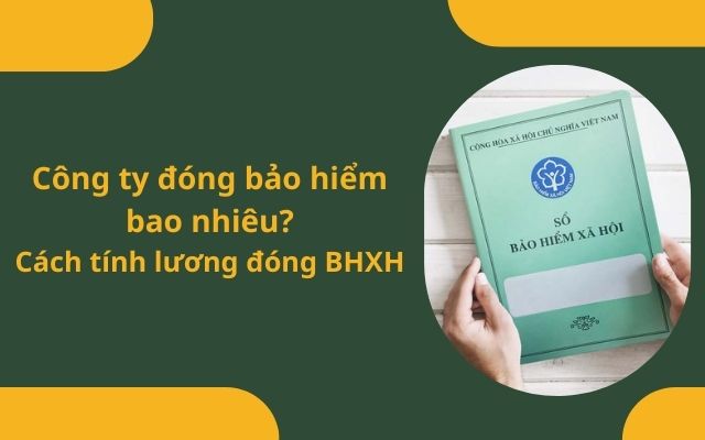 Công ty đóng bảo hiểm bao nhiêu? Cách tính lương đóng BHXH