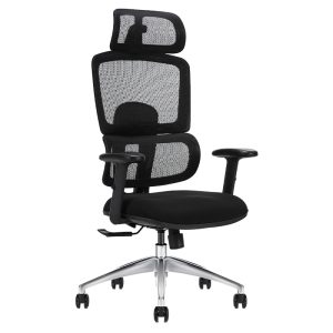 Ghế công thái học Ergonomic Win W05A-BL