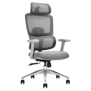 Ghế công thái học Ergonomic Win W05A-GR