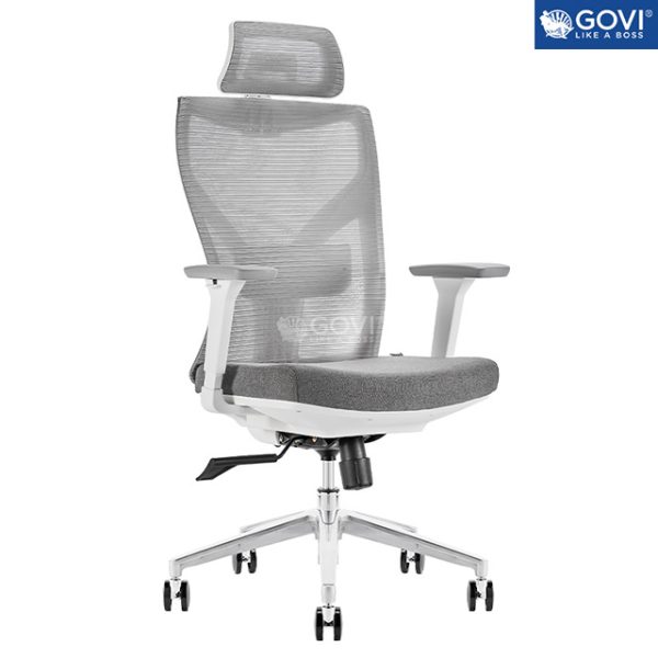 Ghế công thái học Ergonomic Ryan R02A Plus Grey (3D Armrest)