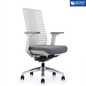 Ghế công thái học Ergonomic Felix F6228B-HS