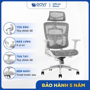 Ghế công thái học Ergonomic Solid S05