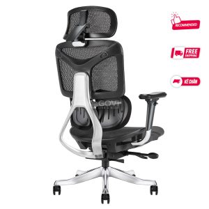 Ghế công thái học Ergonomic Hornet Black