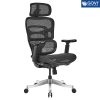 Ghế công thái học Ergonomic Dream DR01A-BL