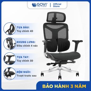 Ghế công thái học Ergonomic Hornet Black