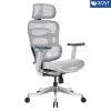 Ghế công thái học Ergonomic Dream DR01A-GR