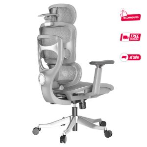 Ghế công thái học Ergonomic Dream Grey