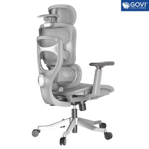 Ghế công thái học Ergonomic Dream Grey