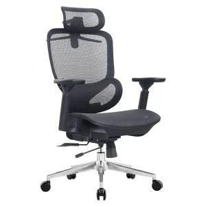 Ghế Công thái học Ergonomic Maris PL10A-BL