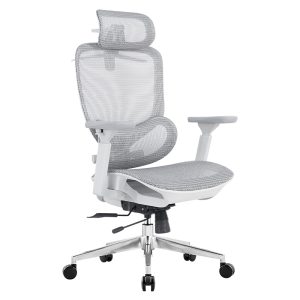 Ghế Công thái học Ergonomic Maris PL10A-GR