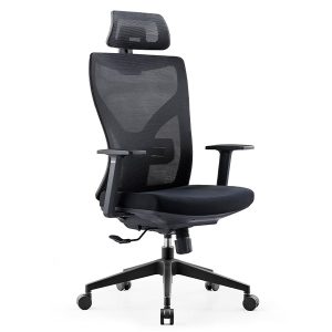 Ghế công thái học Ergonomic Ryan R02A