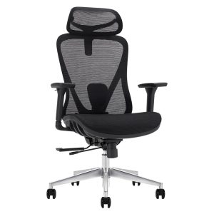 Ghế công thái học Ergonomic Govi Alpha AL01A-BL