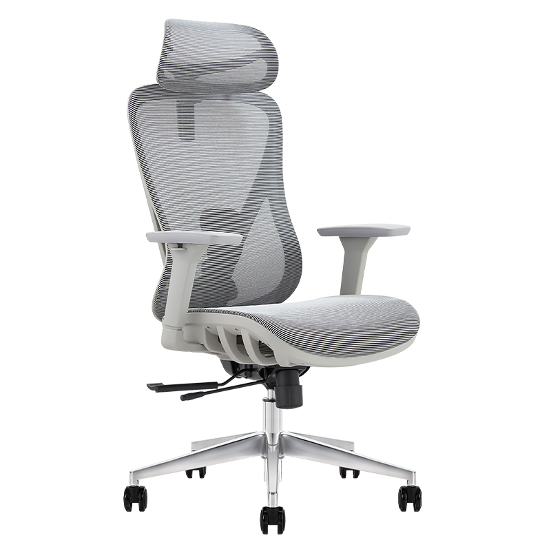 Ghế công thái học Ergonomic Govi Alpha AL01A-GR