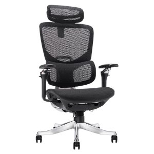 Ghế công thái học Ergonomic Govi Alpha AL05A-BL