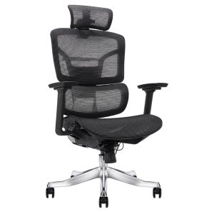 Ghế công thái học Ergonomic Alex AX05A-BL