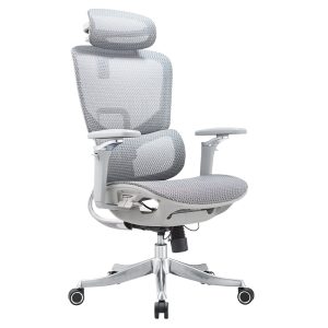Ghế công thái học Ergonomic Govi Alpha AL05A-GR