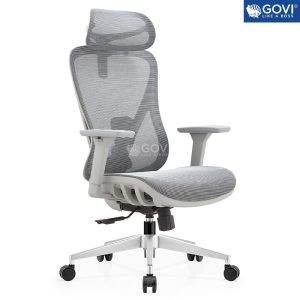 Ghế công thái học Ergonomic Govi Alpha Lite Grey