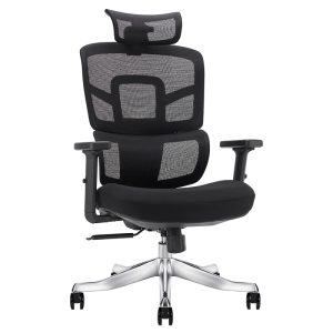 Ghế công thái học Ergonomic Alex AX03A-BL