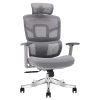Ghế công thái học Ergonomic Alex AX03A-GR