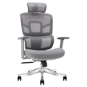 Ghế công thái học Ergonomic Alex AX03A-GR