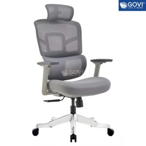 Ghế công thái học Ergonomic Alex AX03A-GR