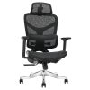 Ghế công thái học Ergonomic Alex AX04A-BL-MSH