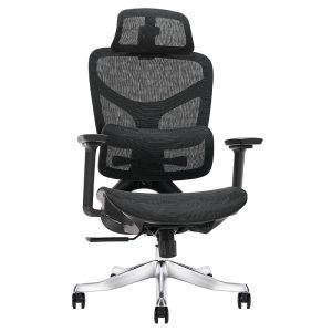 Ghế công thái học Ergonomic Alex AX04A-BL-MSH