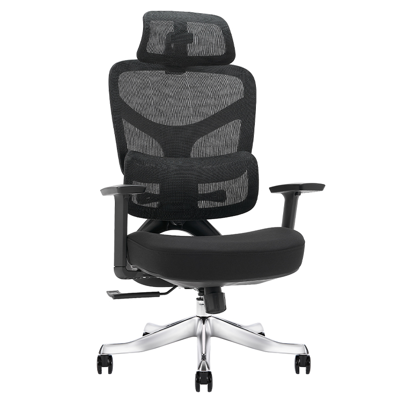 Ghế công thái học Ergonomic Alex AX04A-BL