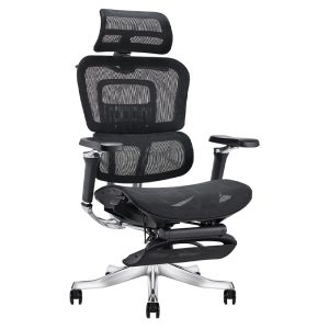 Ghế công thái học Ergonomic Alex AX06A-BL