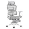 Ghế công thái học Ergonomic Alex AX06A-GR