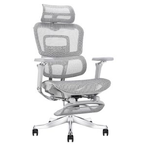 Ghế công thái học Ergonomic Alex AX06A-GR