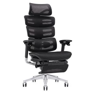 Ghế công thái học Ergonomic Next Z Black