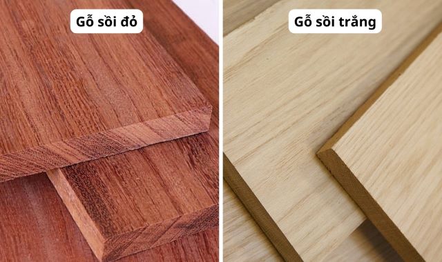 phân biệt gỗ sồi trắng và gỗ sồi đỏ