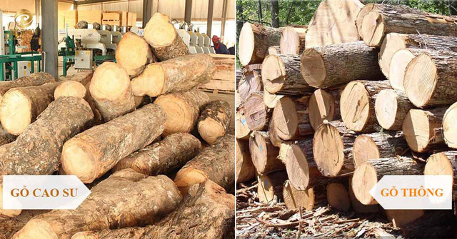 so sánh gỗ cao su và gỗ thông