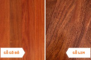 So sánh gỗ lim và gỗ gõ đỏ: Đặc điểm, ứng dụng và giá thành