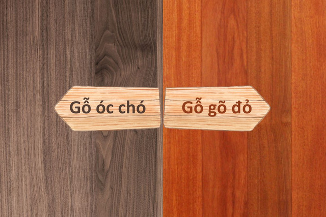 Màu sắc của gỗ gõ đỏ và gỗ óc chó