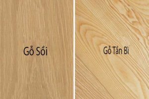 So sánh gỗ sồi và gỗ tần bì: Loại gỗ nào đắt hơn và tốt hơn?