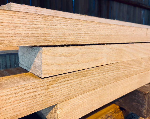Thân cây gỗ tần bì