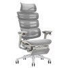Ghế công thái học Ergonomic Next Z Grey